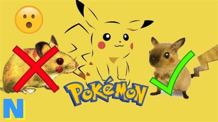Is Pikachu A Rat Or Mouse? – Celebrity
