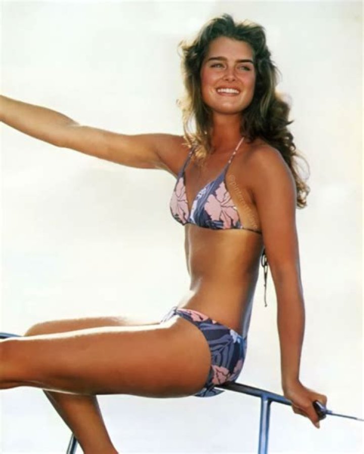 Brooke Shields in Bathing Suit Says "That Thanksgiving Tradition Continues" — Celebwell
