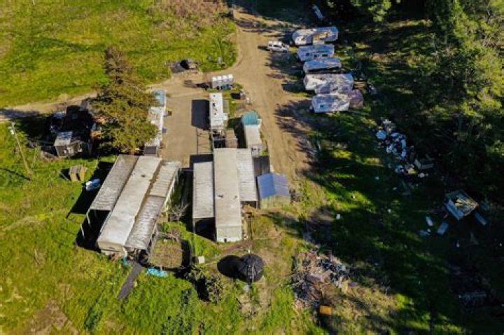 Obituary; Jess Wilkins Passes Away, Owner of Wye Mountain Mushroom Farm