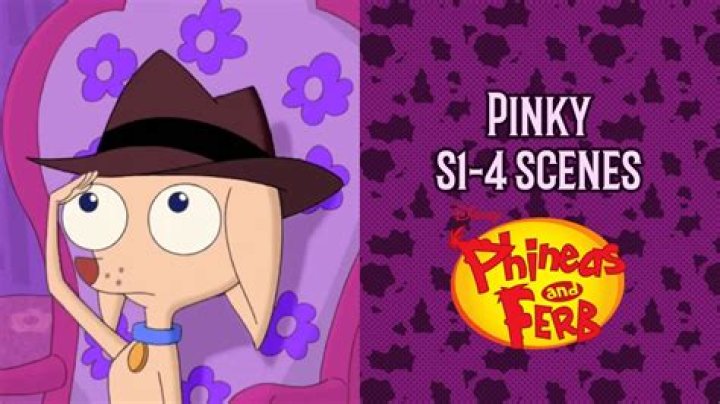 Who is Pinky the Chihuahua? – Celebrity